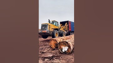 WOOD UNLOADED 💥 in one wild container smash! 🚜🌲 #wow #machinepower #shorts #timber