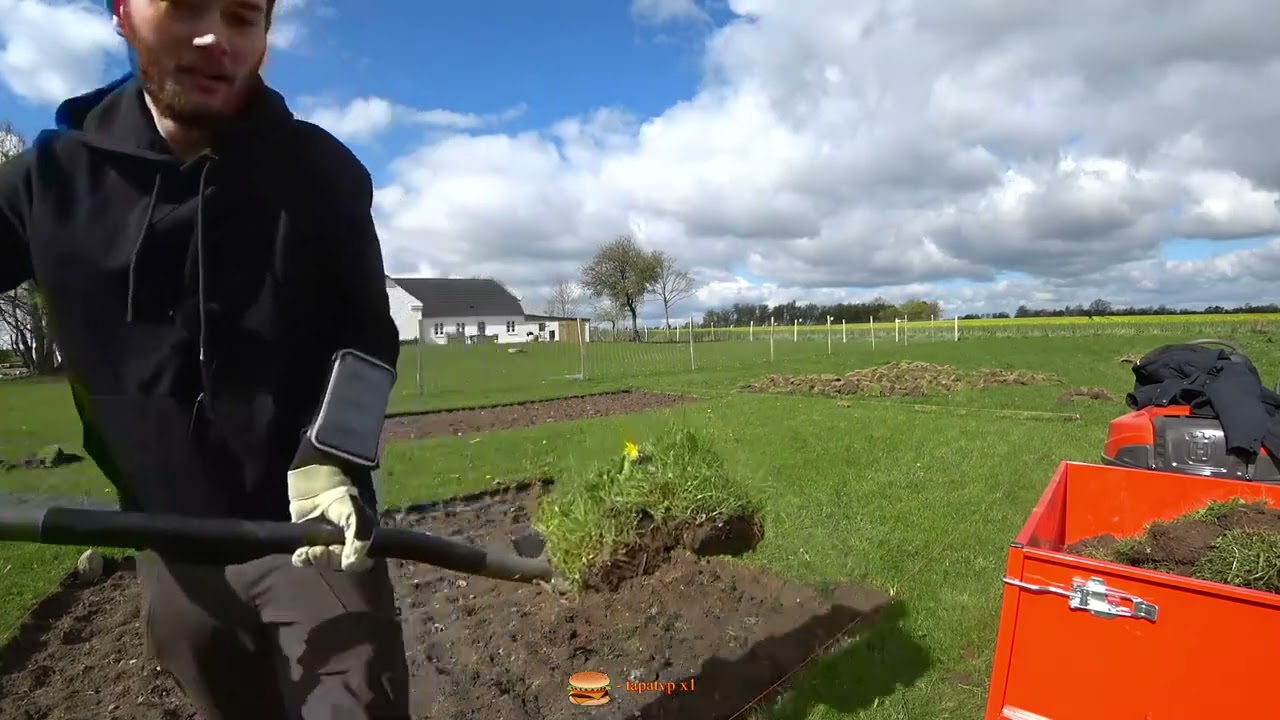 DAFRAN GIVES YOU A FLOWER | IRL