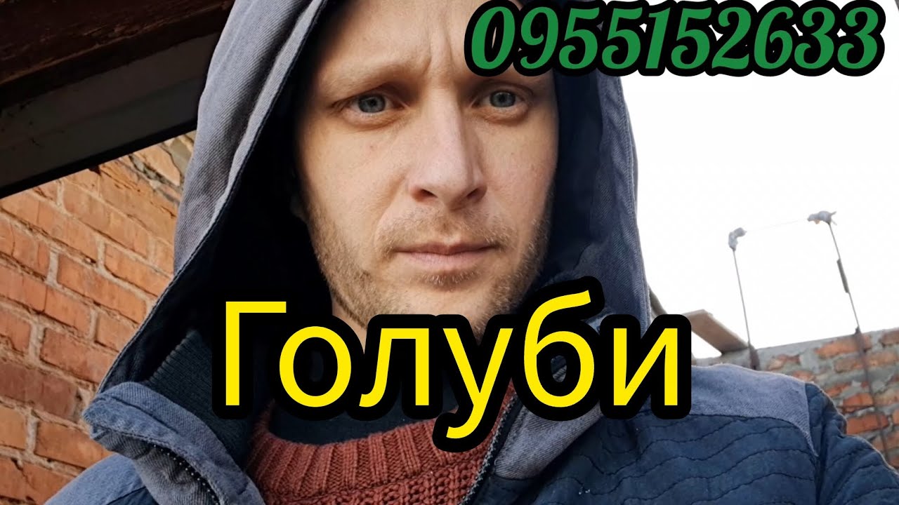 Продам голубів, Голуби під замовлення ,Весна,Турецька такла. 