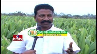 New Cultivation Process Of Turmeric | Techniques for Improving Pulses Production | Nela Tali | HMTV