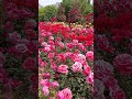 #beautifulnature