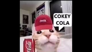 cokey cola