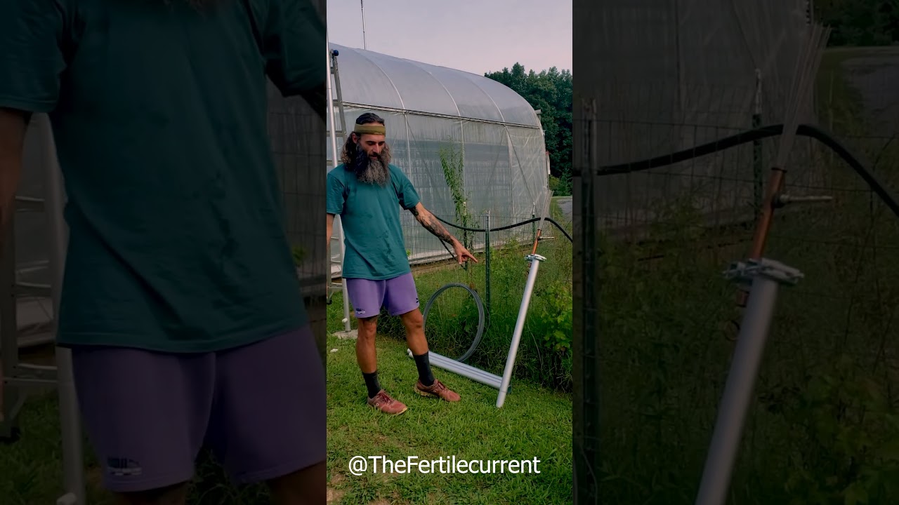 ‪@TheFertileCurrent‬