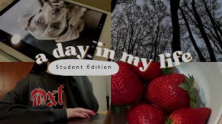 ⭑study vlog⭑: day in my life, productivity, lots of studying, commissions, anime and more