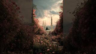 al fatiha recitation by egzon ibrahimi #egzonibrahimi #allbayan #qurankareem #islamicmusic