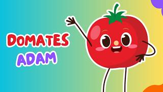 🍅Domates Adam Sebze Ve Meyveleri Öğreniyoruz Eğlenceli Çocuk Ve Bebek Şarkıları Çizgi Film