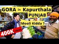 A Foreigner in Punjab - Kapurthala - How he reacts to Punjabi Food