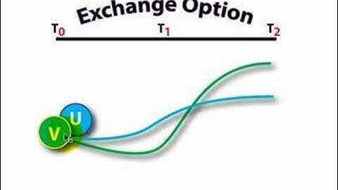 FRM: Exchange option