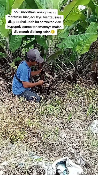 #videoshort #jangkauanluas