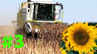 HARVEST SUNFLOWER - FARMING SIMULATOR 20 GAMEPLAY - TOFIK FARM