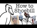 Your Life as a Shoebill