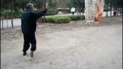 Gao Xiantian Bagua Zhang