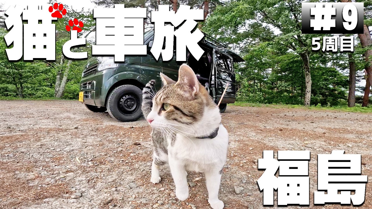 【#5-9】福島の無料キャンプ場、芝山自然公園→茨城、辰ノ口親水公園に泊まります！【猫と車中泊&キャンプ旅】