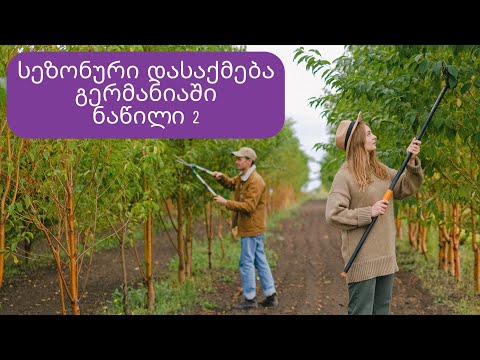 სეზონური დასაქმება გერმანიაში | ნაწილი 2 | რა უნდა გავითვალისწინოთ?