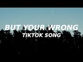 You probably think this world is a dream come true tiktok song