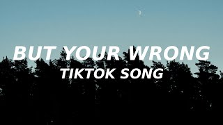 You probably think this world is a dream come true (TikTok song)