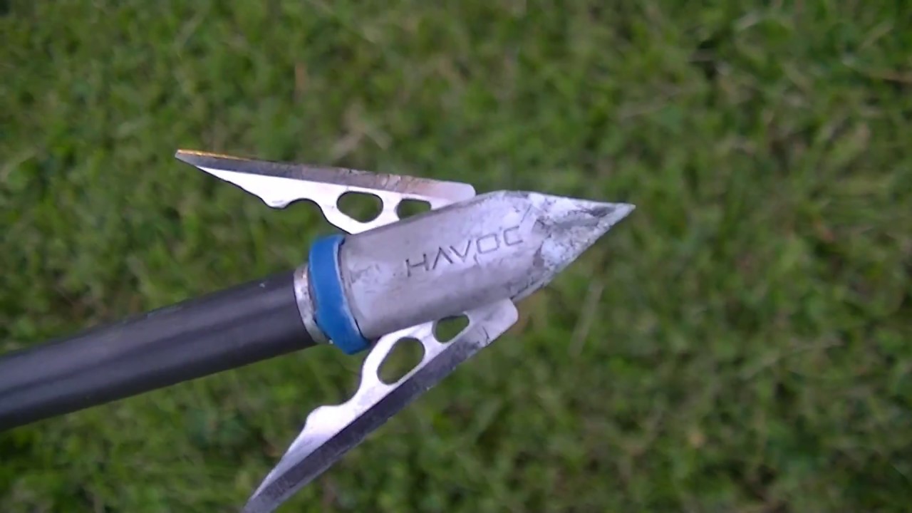 Broadhead Test Havoc Vs. Rage YouTube
