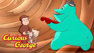 george learns about germs curious george kids cartoon kids movies