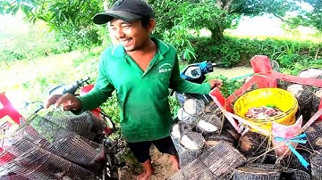 Đất nước và con người : Cảnh quan và cuộc sống đời thường, Núi Tô, Tri Tôn, An Giang 01/10/2023