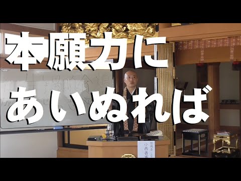 本願 力 に あい ぬれ ば