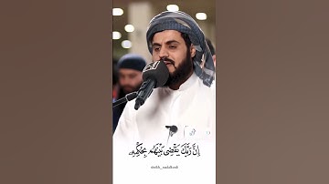 القارئ رعد الكردي تلوة هادئه♡♡♡ #اكسبلور