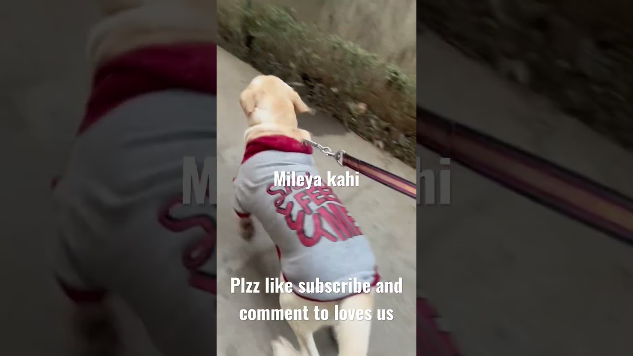 #shortsyoutubemileya