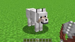 What If I Use Shears On Wolf ?