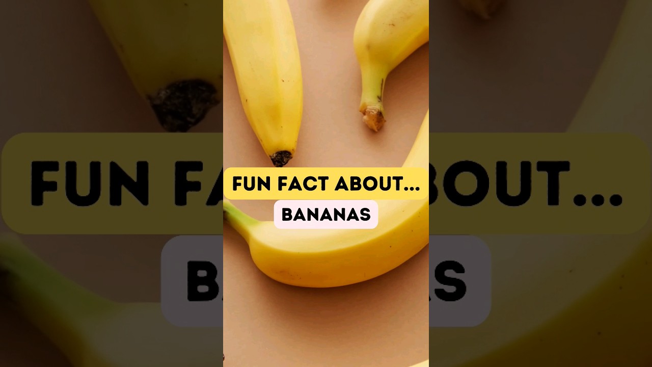 Fun Fact About Bananas 