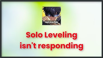 Solo Leveling Arise Game Isn