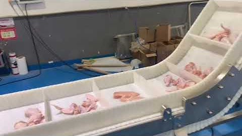 Chicken Drumsticks Packing Machine with Weighing Sorting System