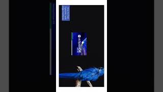 how to import dynamic web project in eclipse  @DecodeIT2