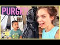 DAY IN LIFE | ULTIMATE PURGE!! (and Tess' new glasses =)