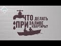 Что делать если вашу квартиру залили?