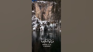 واستعينوا بالصبر والصلاة وإنها لكبيرة إلا على الخاشعين #قرآن #سورة_البقرة #ياسر_الدوسري #حالات_واتس