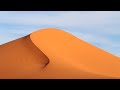 The sahara desert  ecosystems