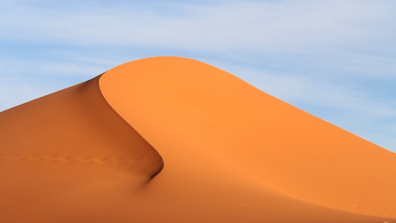 The Sahara Desert | Ecosystems