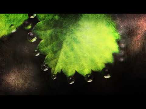 არქიმანდრიტი შიო (გაბრიჭიძე) კითხულობს საკუთარ ლექსებს