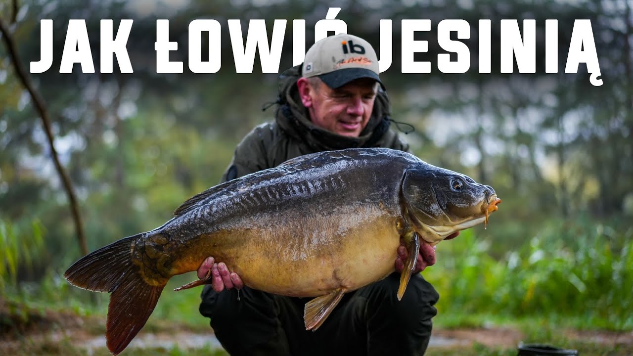 Jak złowić jesiennego karpia w 1,5 h?