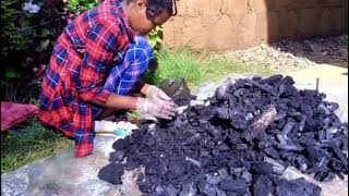 Buaa Guddaa Kasallii Qabu