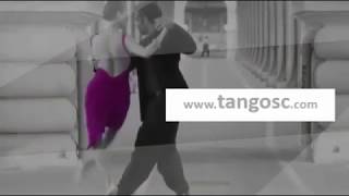 Tango Sunshine Coast