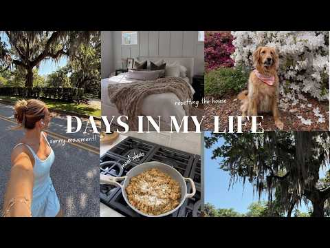 DAYS IN MY LIFE: morning routines, home updates, current movement routines, app updates, and more! thumbnail