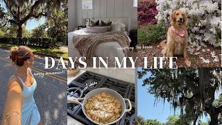DAYS IN MY LIFE: morning routines, home updates, current movement routines, app updates, and more!