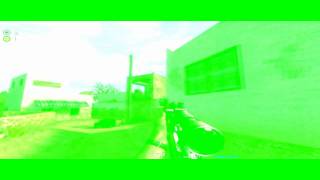 Famous Call of Duty 2 - PapO sick shot Net Worth
