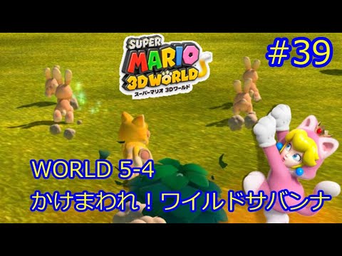 スーパーマリオ3dワールド World 5 4 かけまわれ ワイルドサバンナ グリーンスター3個 ハンコ 攻略 39 Youtube