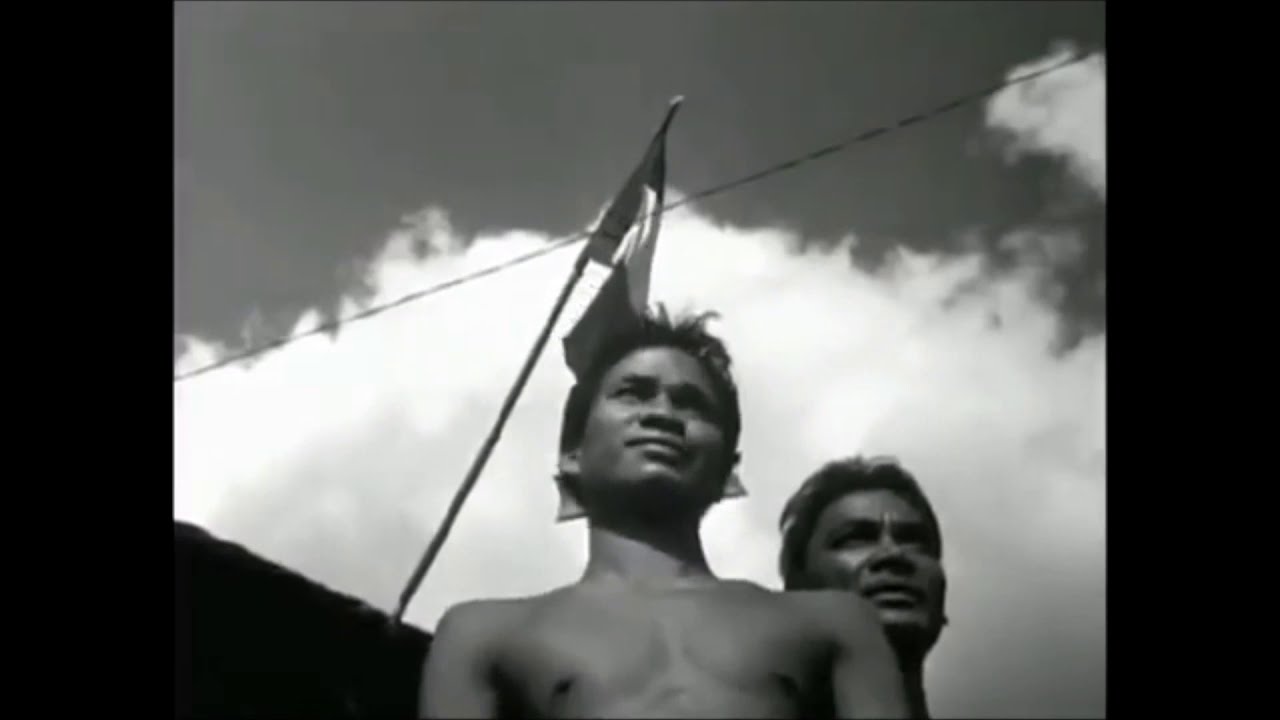 Military Rifles of France ( Fusils militaires de Françaises ) - YouTube