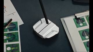 PING 'Scottsdale Project'