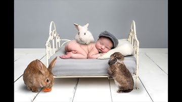 Introducing the LSP Bunny Hop Overlays, actions and brush kit