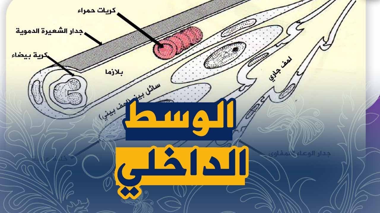 الدرس11: الوسط الداخلي امداد الخلايا بالمغذياة و الاكسجين علوم طبيعية للسنة الرابعة متوسط