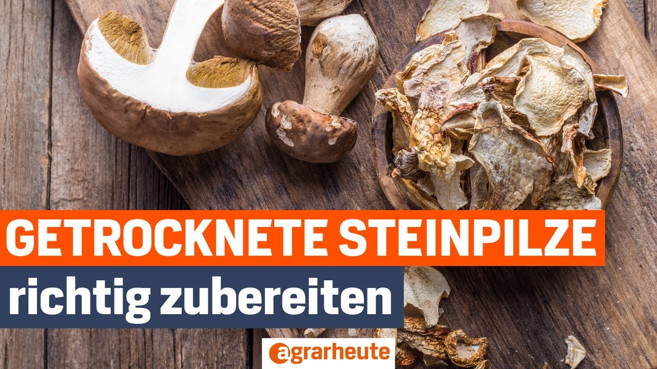 Getrocknete Steinpilze Wie Lange Kochen