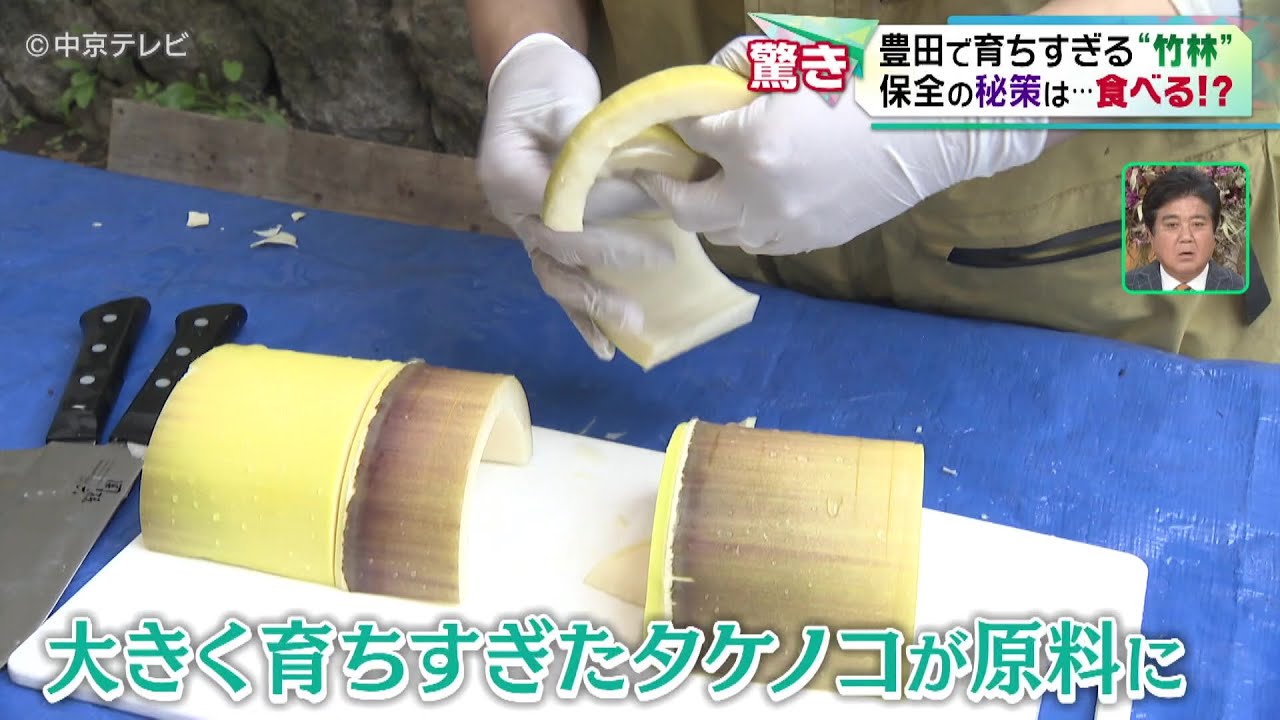 【幼竹をメンマに】育ちすぎる“竹林” 保全の秘策は…食べる!? 愛知・豊田市 - YouTube